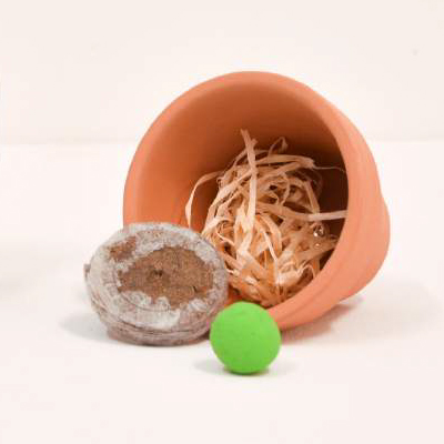 Terracota Kit