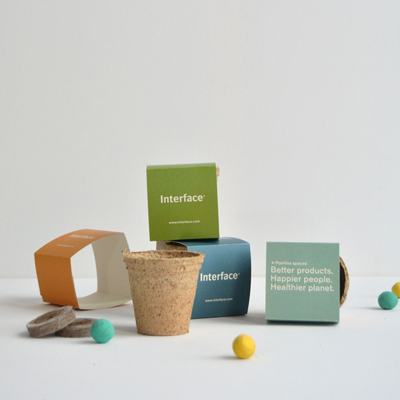  Maceta Eco Kit