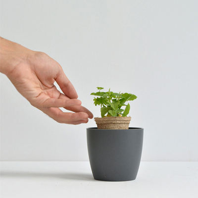  Maceta Eco Kit