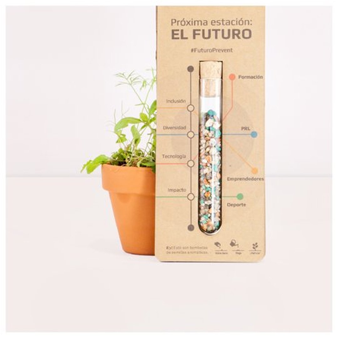 Seednest, semillas en un tubo de ensayo