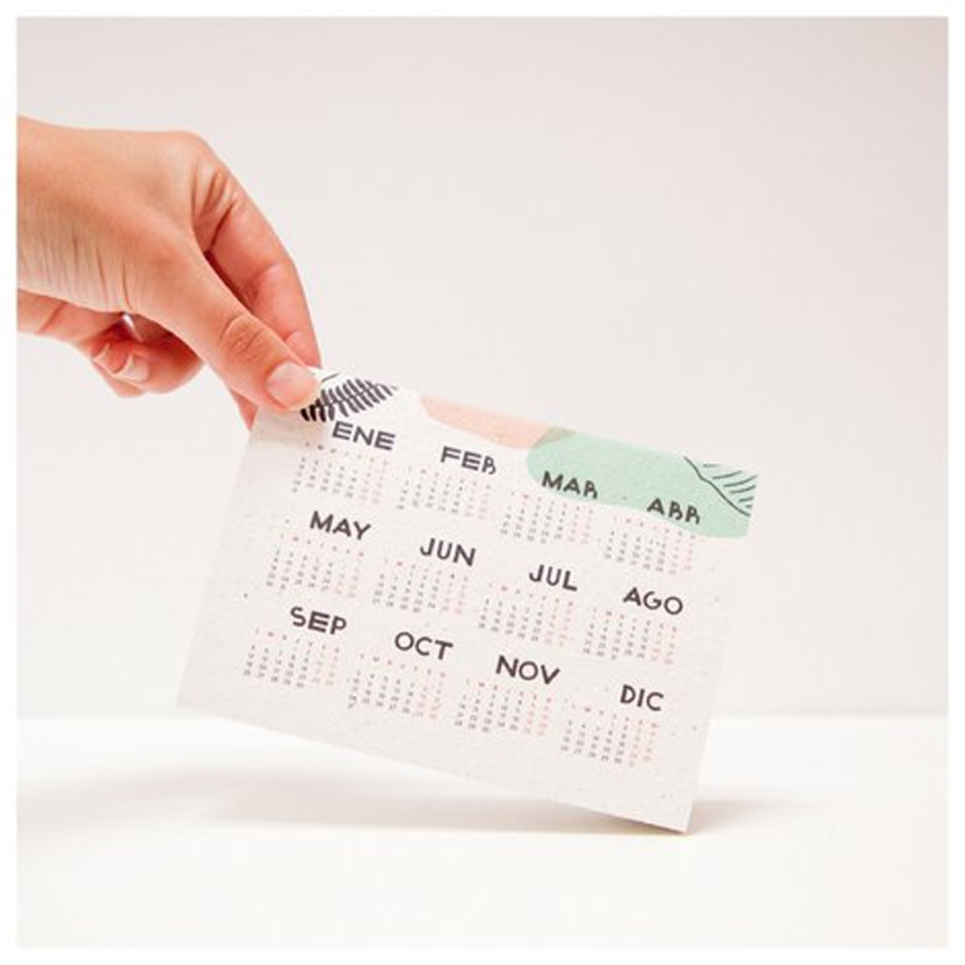 Calendario con semillas ZERO