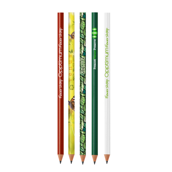 Lápiz BIC® Evolution® Classic Cut Ecolutions®